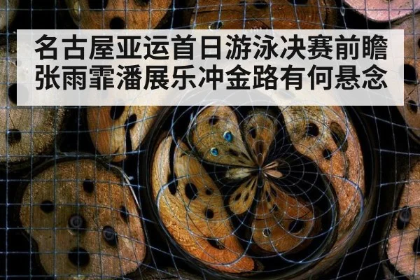 名古屋亚运首日游泳决赛前瞻 张雨霏潘展乐冲金路有何悬念